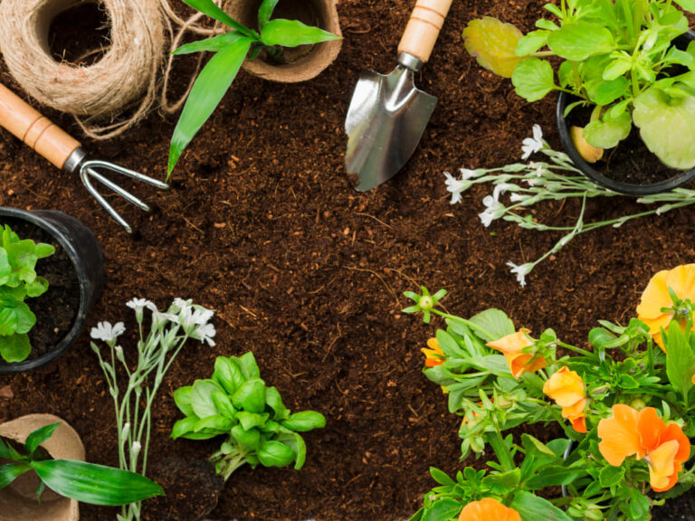 attrezzi-e-piante-da-giardinaggio